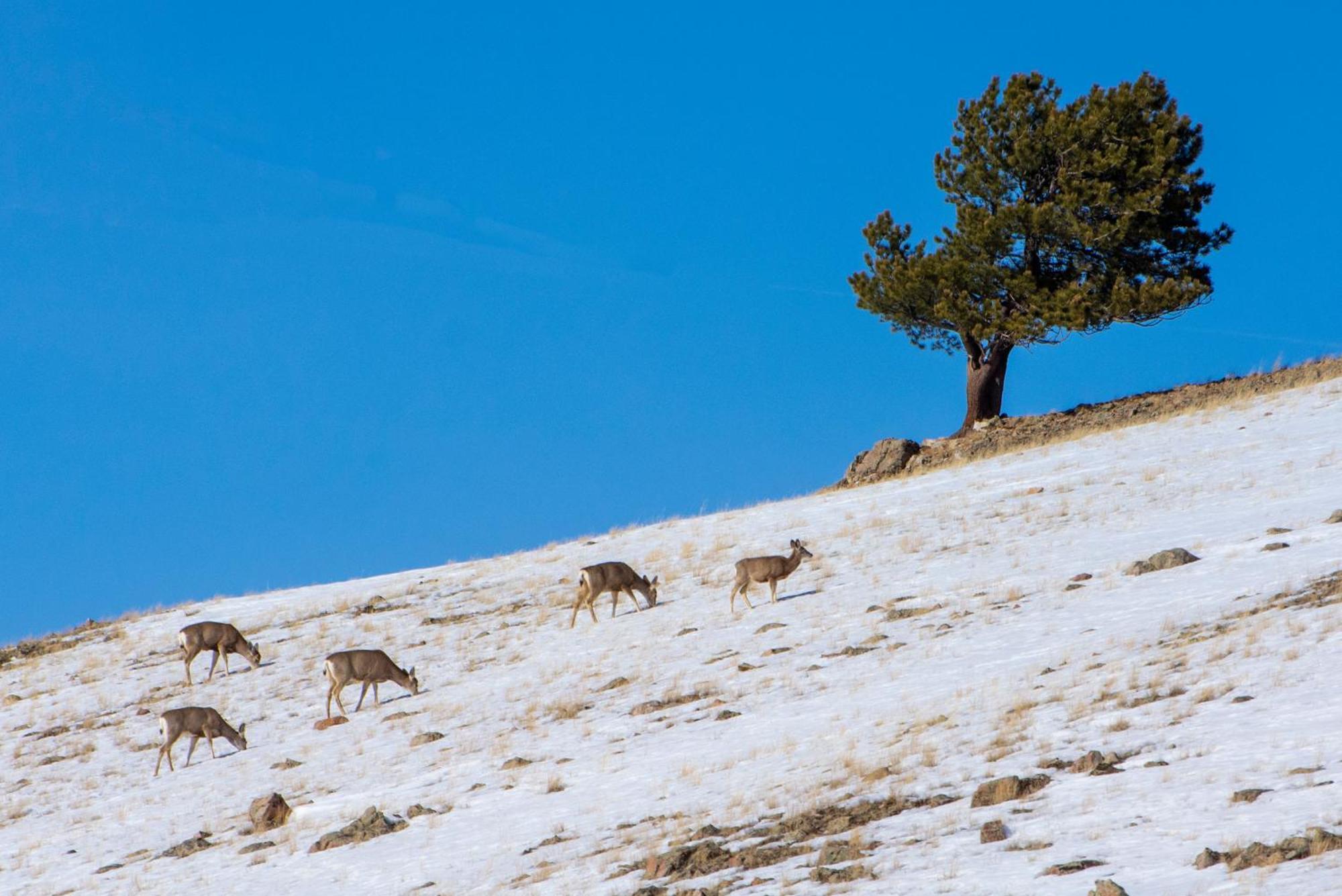 Sundog Condo In Granby Ranch Exteriér fotografie